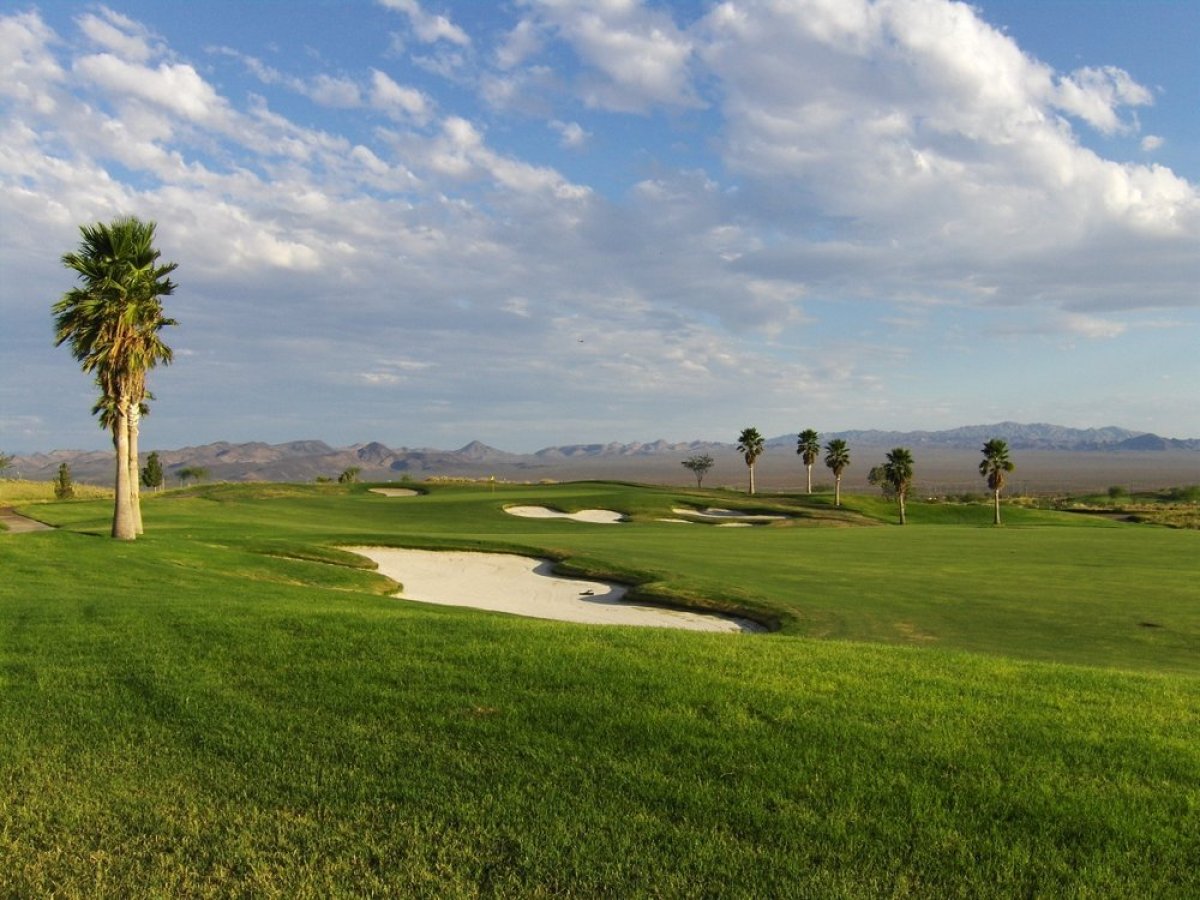 a group of people standing on a lush green field